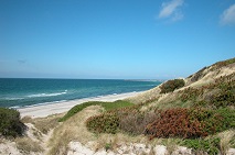 Anholt_strand